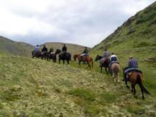 Canada-Yukon-Yukon Wildlife Safari on Horseback